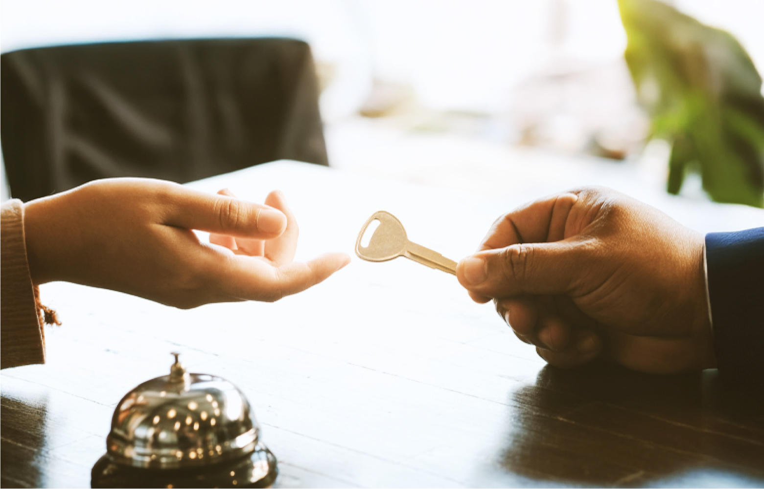 宿泊施設の豊富さ